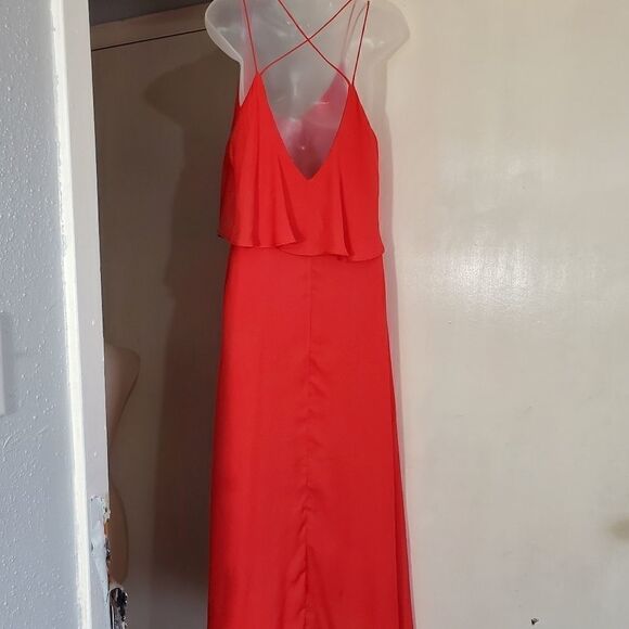 Pink martini maxi dress - Picture 7 of 7